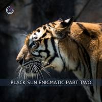 Black Sun Enigmatic Part Two mp3
